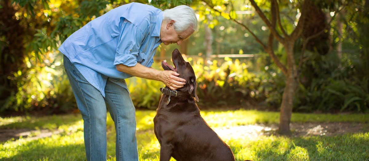 senior with dog