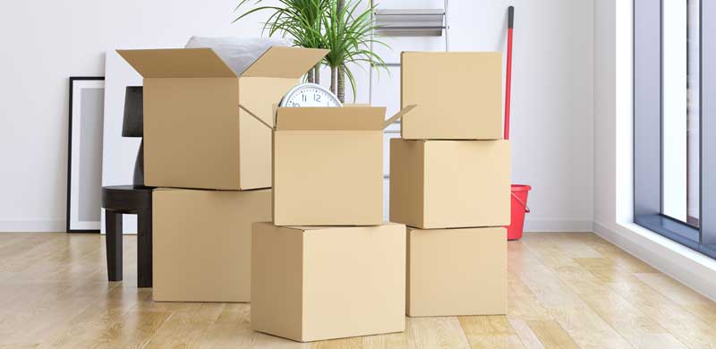 Madison Van Lines Review