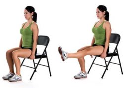 seated leg lifts