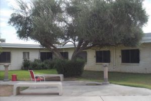 Suncrest Health Care