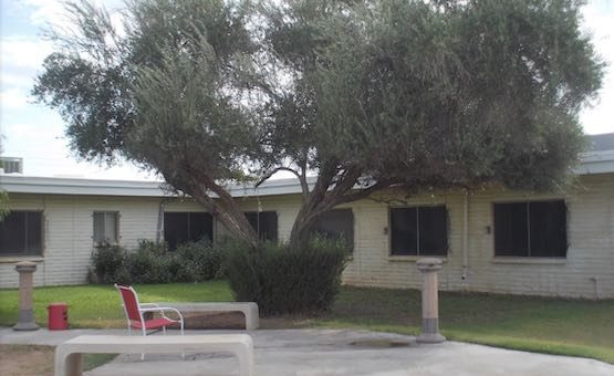 Christian Care Home Health Agency Phoenix Az