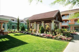 The Terraces of Phoenix