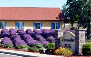 Lavender Hills Assisted Living, LLC