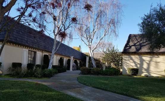 Plum Tree Care Center