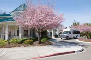 Regency of Evergreen Valley