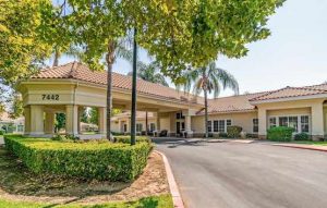 Cottonwood Court