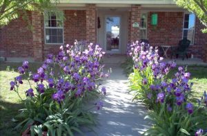 Hillside Haven Care Home