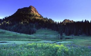 Yakima, WA | Retirement Living