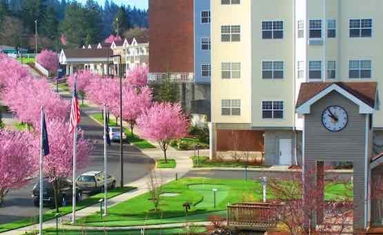 Cherrywood Village