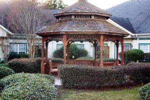 Savannah Commons