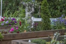 Garden Court Garden