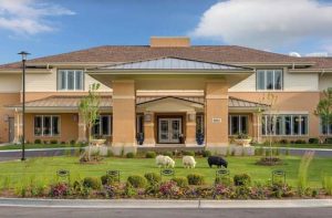 Arbor Terrace Naperville