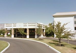 Spring Hills Cherry Hill