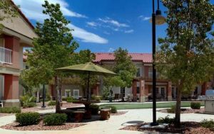 Acacia Springs