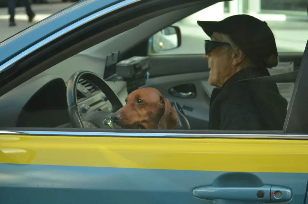 News stories about new federal rules covering older drivers are false