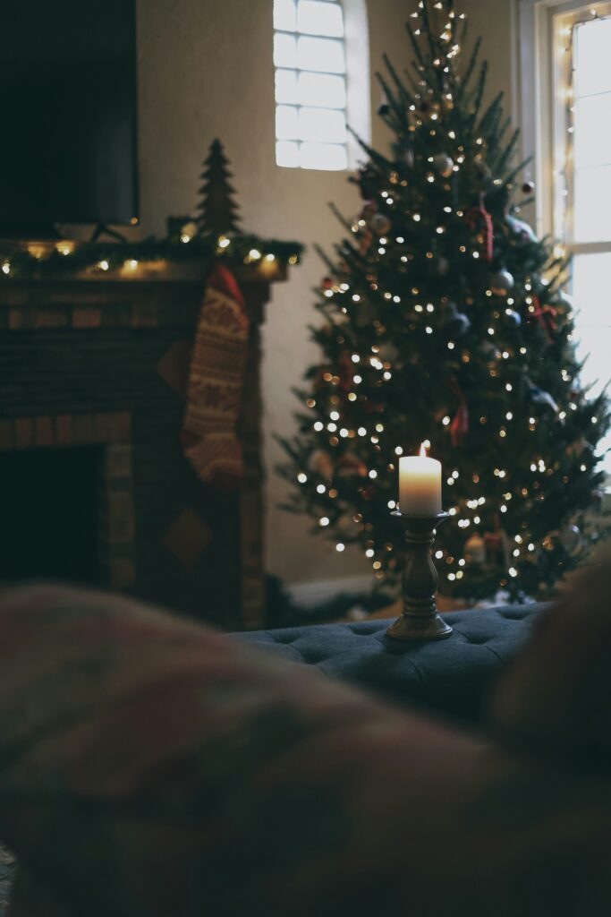 Survey: Seniors Face Loneliness, Stress and Rising Costs This Holiday Season