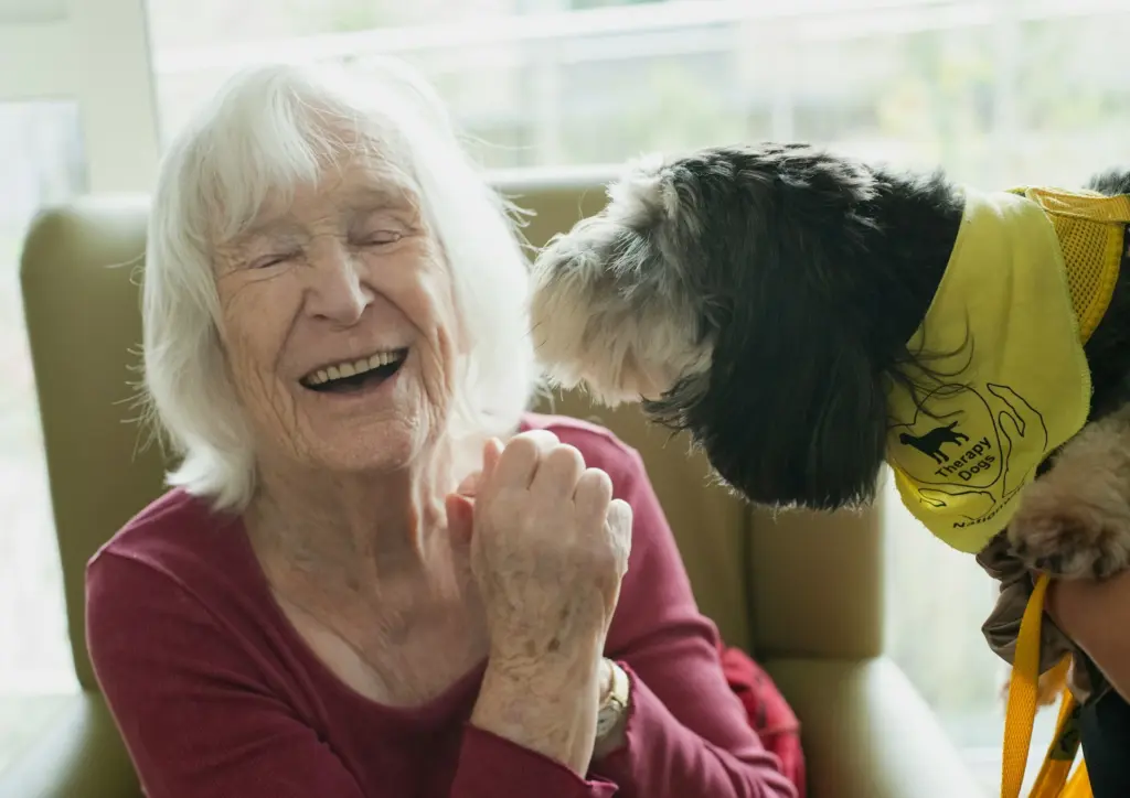 Pets and longevity: New study aims to unpack the connection