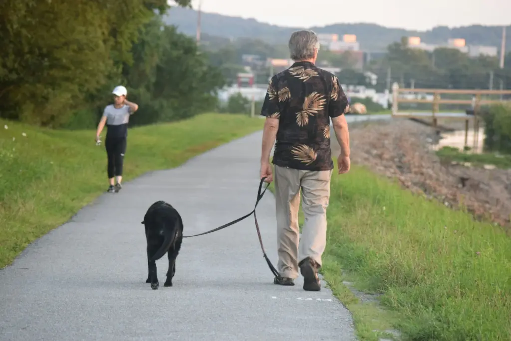 Many retirees prefer a side hustle to a part-time job