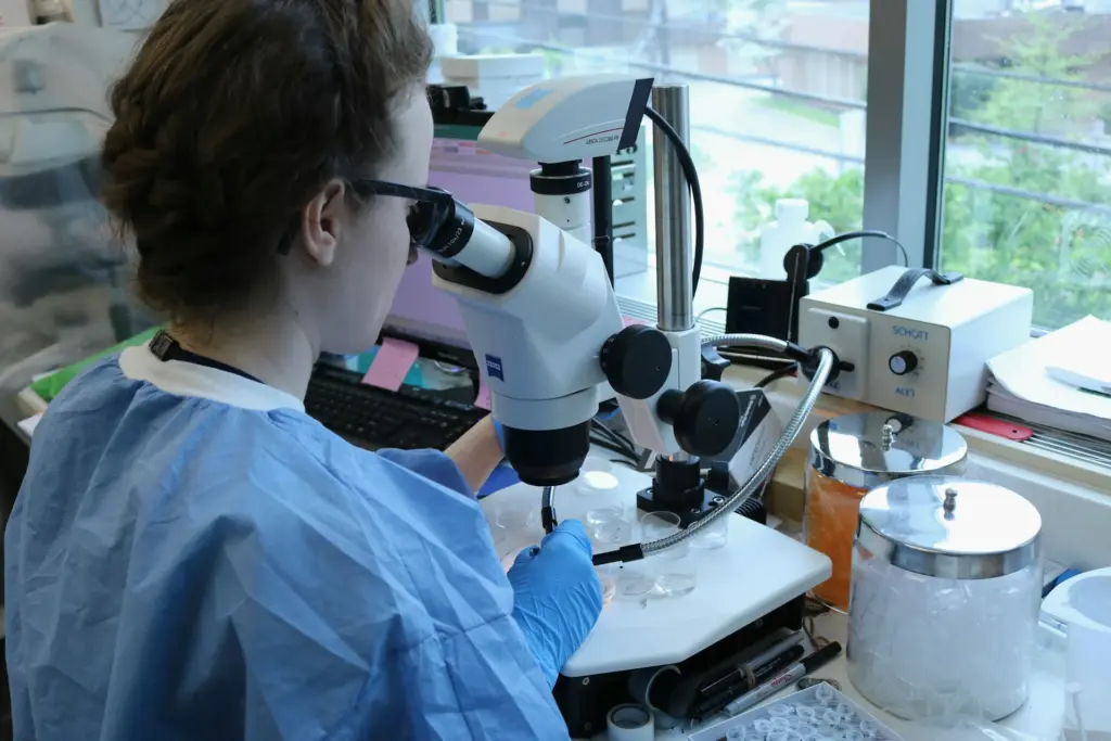 Experimental Alzheimer’s drug shows promise by targeting tau protein