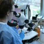 Experimental Alzheimer’s drug shows promise by targeting tau protein